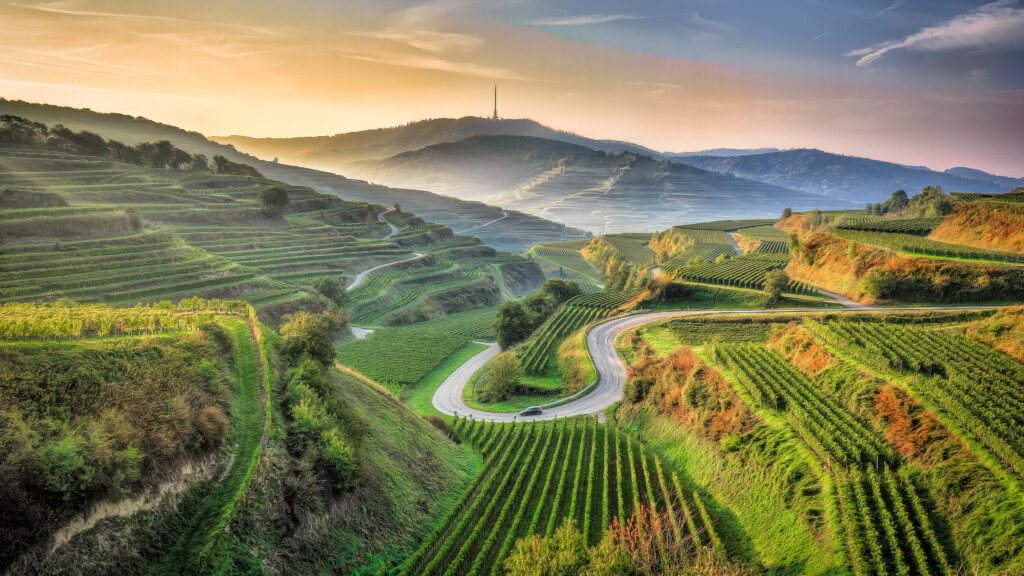 凯撒施图尔 巴登-符腾堡 梯田 公路 山丘 绿植被 天空 4k