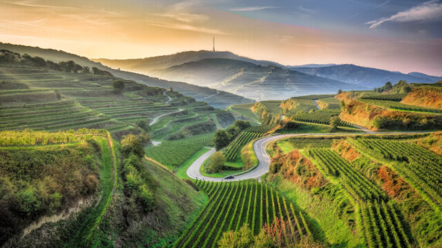 凯撒施图尔 巴登-符腾堡 梯田 公路 山丘 绿植被 天空 4k