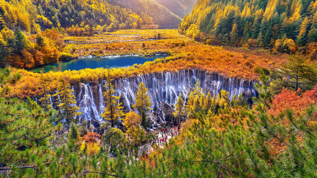 九寨沟 诺日朗瀑布 秋季 瀑布 树林 山峦 水流 4k