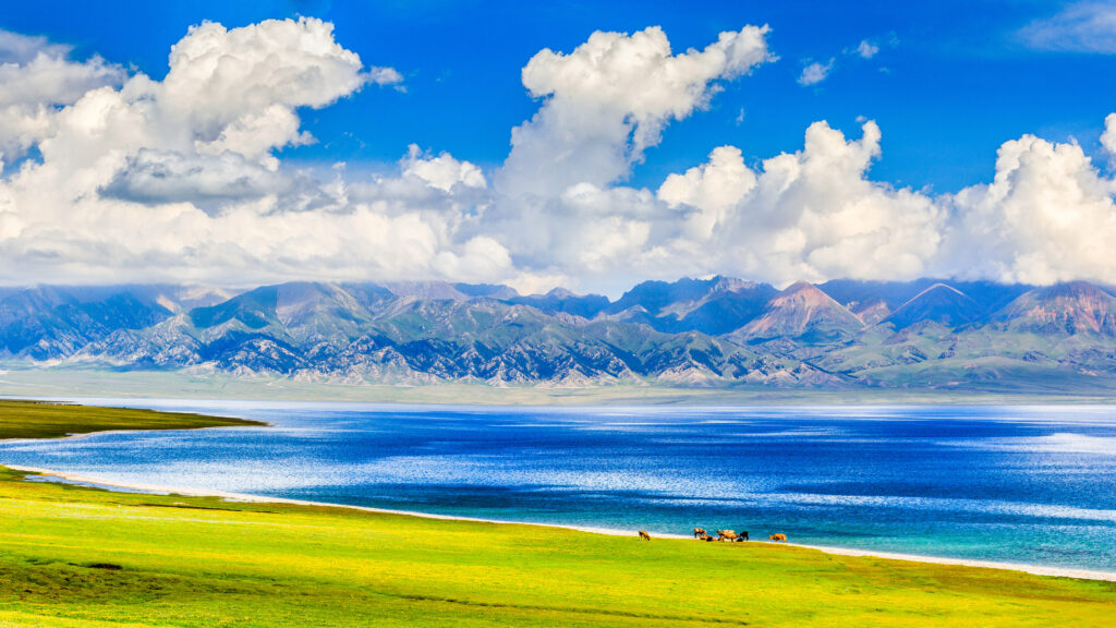 赛里木湖 水 青山 白云 蓝天 马群 草原 4k