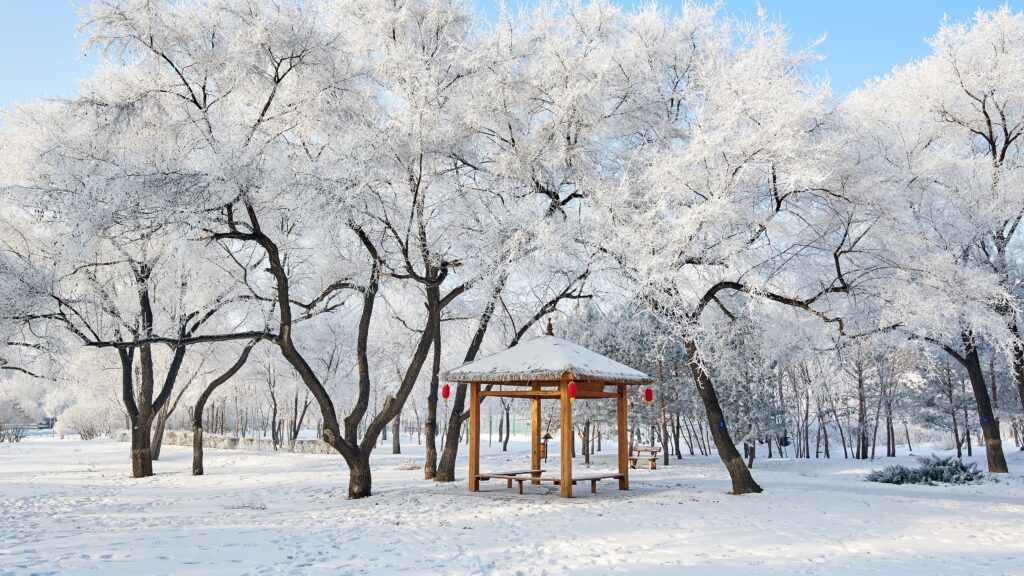 雾凇雪景 凉亭 雪中亭 银装素裹 冬日美景 4k